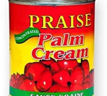 Praise Palm Cream Regular – 800g